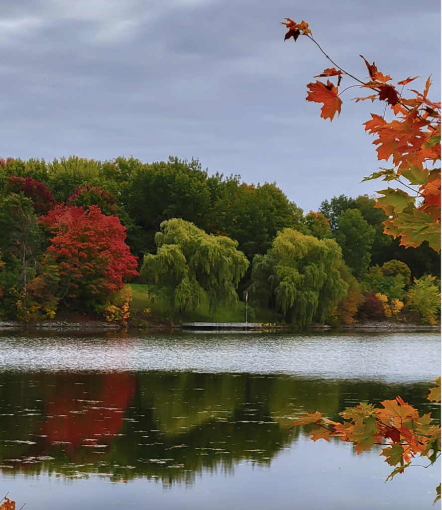 Fairfield County CT nature walks + hikes